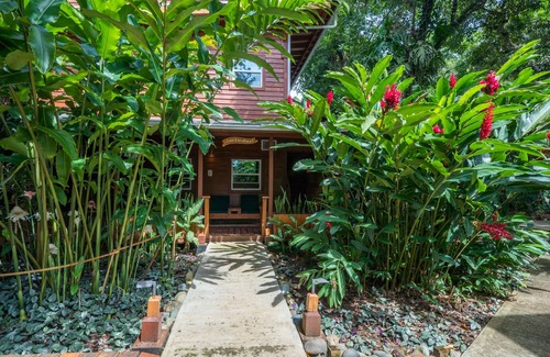 Carenero Island Apartment | Charming 1BR/1BA Garden Apartment w/AC & Jungle views near top surf spots.