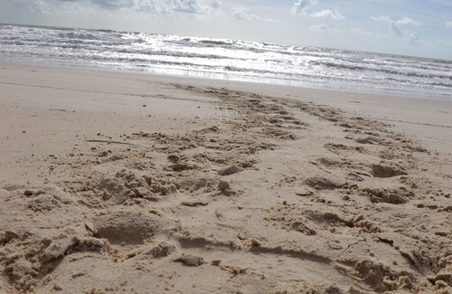Estancia Ski Chalet | Chale on Nordeste beach (Sergipe coast: Saco beach, Mangue Seco)
