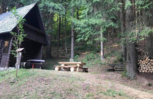 Zelezniki Ski Chalet | Chalet ∙ 1 bedroom ∙ 4 guests