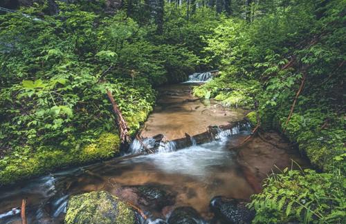 Government Camp House | Chalet am Berg - Meredith Lodging