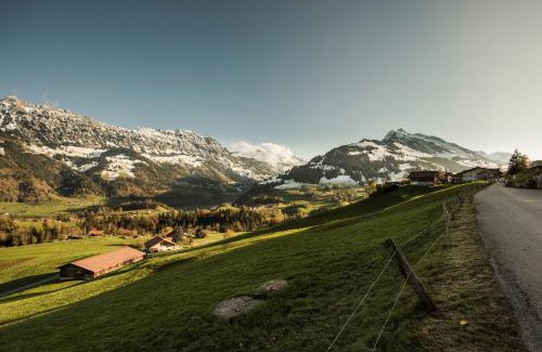 Frutigen Ski Chalet | Chalet Bergwelt - Panoramic view