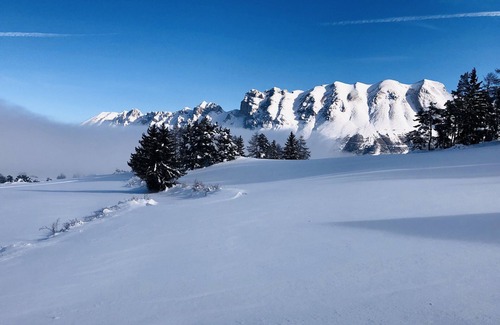 Le Devoluy Ski Chalet | Chalet de charme La joue du Loup - 10 people - jacuzzi