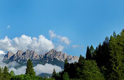 Vodo Cadore Ski Chalet | Chalet del Capriolo