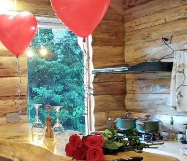 Usaquen Ski Chalet | Chalet el Pinar