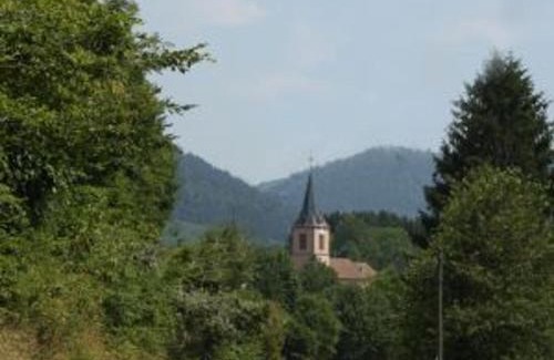 Le Saulcy House | Chalet en Rondins Au Cœur de la Nature avec Confort Moderne près de Strasbourg - FR-1-589-228