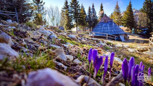 Kamnik Ski Chalet | Chalet Encijan - Velika planina