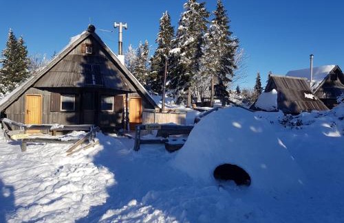 Kamnik Ski Chalet | Chalet Encijan - Velika planina