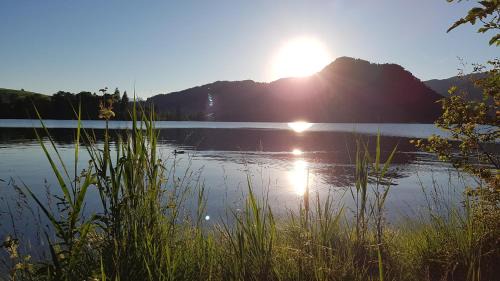 Walchsee Apartment | Chalet Glockenhof