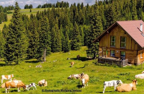 Frantschach-Sankt Gertraud House | Chalet in Carinthia with Sauna near Ski Slopes