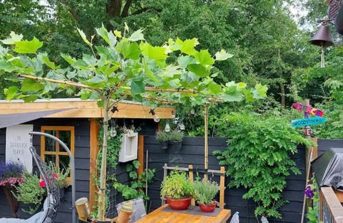 Sumar Other | Chalet Kajuit 443, vakantiepark Bergumermeer
