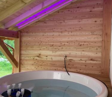 Pralognan-la-Vanoise Ski Chalet | Chalet L'Ourse avec Spa Pralognan-La-Vanoise