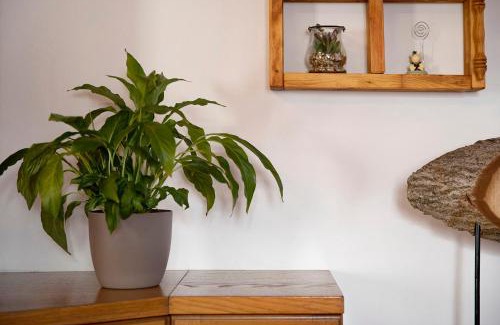 Livigno Apartment | Chalet Maffins 2
