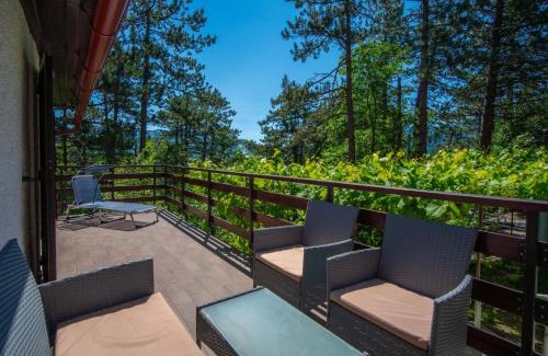 Lic Ski Chalet | Chalet Nina by Interhome