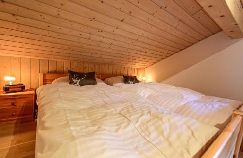 Chamoson Ski Chalet | Chalet Paisible by Interhome