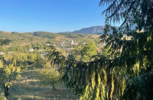 Copalnic-Manastur Ski Chalet | Chalet Pia