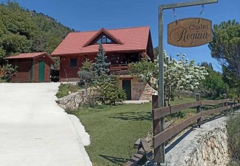 Koutsi Ski Chalet | CHALET REGINA