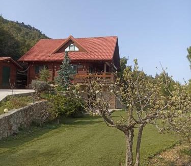 Koutsi Ski Chalet | CHALET REGINA