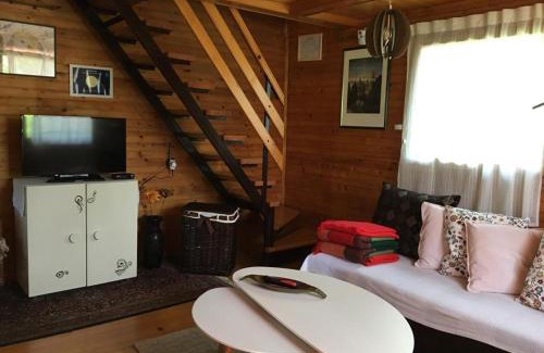 Bosiljevo Ski Chalet | Chalet Slap Na Kupi