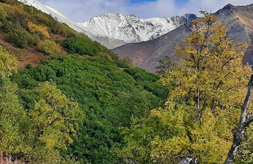 Palmer House | Chalet style home, Mountain views, 10 acres, hiking, glaciers, in Palmer Alaska.