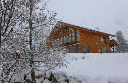 Ponsonnas Ski Chalet | Chalet Tao l'écrin de bois