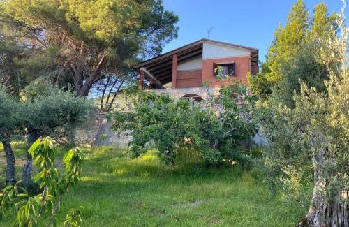 Montelaguardia Ski Chalet | Chalet Valserena - Perugia