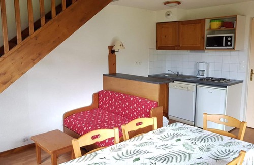 La Joue du Loup Ski Chalet | Chalet, view mountain, swimming pool, terrace, parking, tv, ski locker, 55m², La Joue du Loup