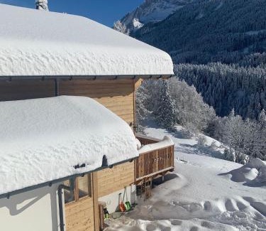 Barboleusaz Ski Chalet | Chalet Villars-Gryon 8pax Cosy