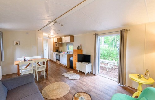 Bosgebied Hoenderloo Ski Chalet | Chalet, with 2 steps in the woods | Veluwe | Kids.