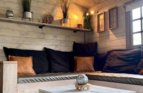 Tzummarum Ski Chalet | Chalet with a spacious garden, in Friesland