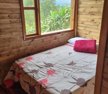 San Francisco Ski Chalet | Chalets in San Francisco, Colombia