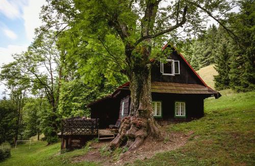 Velke Karlovice Ski Chalet | Chaloupka Prischlop