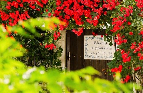 Pritluky Ski Chalet | Chalupa U Čápů