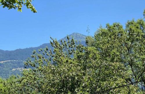 La Celle-sous-Gouzon Ski Chalet | Chambre atypique dans mazot savoyard