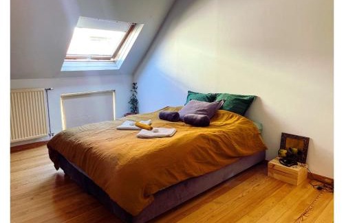 Ukkel House | Chambre double dans maison lumineuse Saint Job Uccle