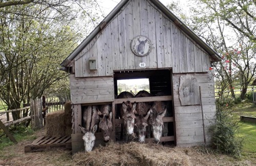 Vaux-sur-Aure Bed & Breakfast | Chambres d'Hôtes Côté Campagne