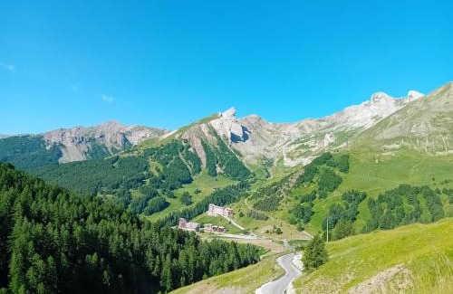 Allos Apartment | chamois tétras marmotte
