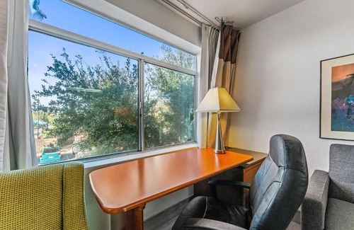 Chandler Apartment | Chandler 1 bd 1 ba Fully Renovated Premium LUX apartment pets allowed
