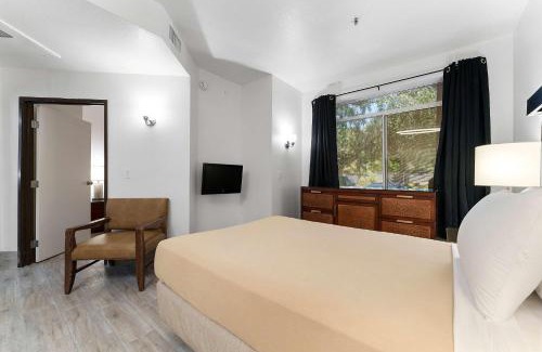 Chandler Apartment | Chandler 1bd w 2 beds upgraded