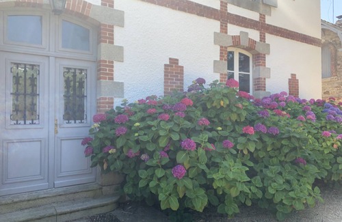 Vannes Villa | Character and spaces, large heated swimming pool. Jacuzzi. a little paradise.