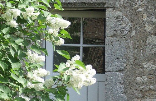 Cande-sur-Beuvron Cottage | charm and comfort of the campaign in the castles of the Loire.