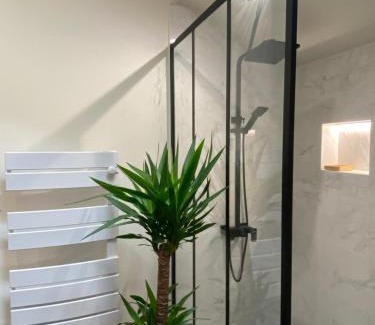 Fontenay-le-Comte Apartment | Charmant appartement avec SPA