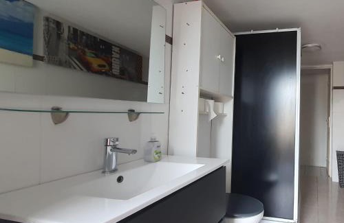 La Ferte-Gaucher Apartment | Charmant appartement 2p avec piscine partagée