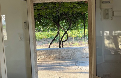 Montfort-sur-Argens House | Charmant Cabanon Provençal
