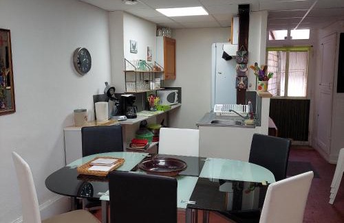 Vailly-sur-Sauldre House | Charmant gîte avec 2 chambres, cour partagée, Wifi et animaux acceptés - FR-1-586-14