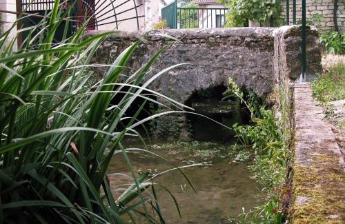 Verneuil-le-Chateau House | Charmant gîte familial en Touraine avec cheminée - FR-1-381-617