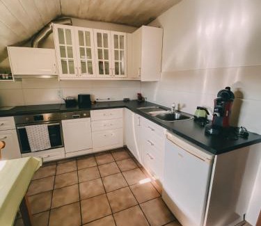 Neuenburg am Rhein Apartment | Charmante 1-Zimmer-Ferienwohnung Neuenburg am Rhein
