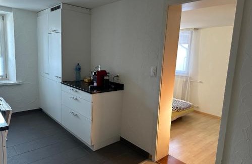 Uster District Apartment | charmante 3,5 Zimmer Wohnung in Bauernhaus