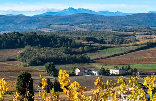 Malras House | Charme au cœur des vignes