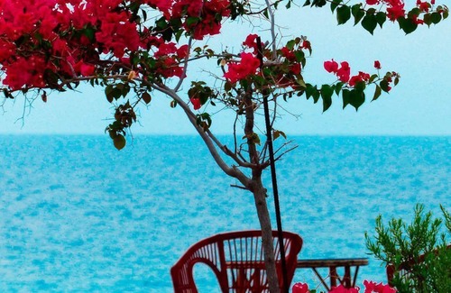 Villajoyosa Cottage | CHARMED COTTAGE IN A PRIVATE OASIS OVERLOOKING AN UNSPOILED COVE
