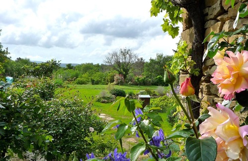 Saint-Andre-d'Olerargues Cottage | Charming Gite for up to 3 persons near Goudargues and Uzes